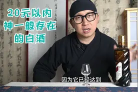 20元以内神一般存在的白酒，口感吹到天上去，爆炸式的豌豆香视频封面