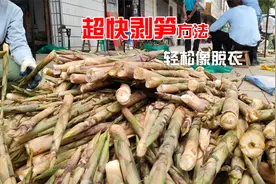 小笋剥壳方法有很多，简单快捷就一种，30斤笋十分钟搞好你试过吗