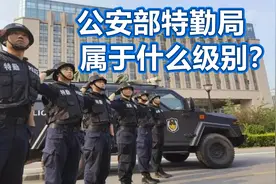 公安特勤局是干什么的？属于什么级别？与中央警卫局有何区别？视频封面