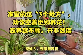 家里的这“3个地方”，劝你空着也别养花！越养越不顺，并非迷信视频封面