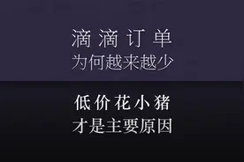 滴滴打车为什么订单越来越少？因为滴滴把大量订单都分配给花小猪视频封面