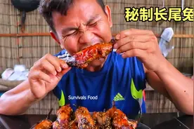 20只长尾兔被越南老表开膛破肚，做成烤肉嘎嘎香