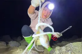 凌晨3点去岛上赶海，抓了满桶螃蟹、海螺、八爪鱼，上岸卖了300多视频封面