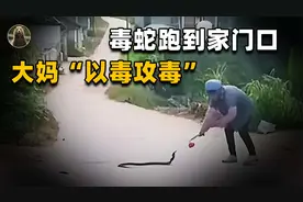 以毒攻毒！毒蛇跑到大妈家门口，大妈以敌敌畏应战！最后谁赢了？