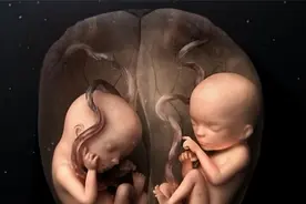 生命这东西真的很神奇，让人羡慕的双胞胎，究竟是怎么形成的？视频封面