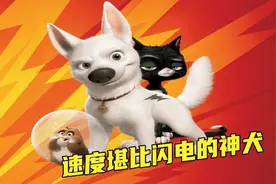 闪电狗真的快如闪电？视频封面