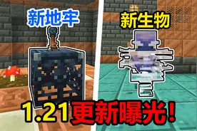 我的世界：1.21更新曝光！试炼遗迹和全新生物他来了！