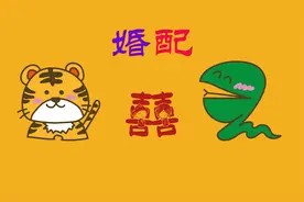 生肖虎和生肖蛇的婚配好吗？视频给你分析视频封面
