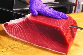 海鲜硬货！2000块一斤蓝鳍金枪鱼宰杀技法，手法相当专业视频封面