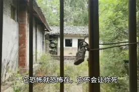 深山中的禁忌之地，讳莫如深的废弃医院；寻踪木兰康复院。视频封面