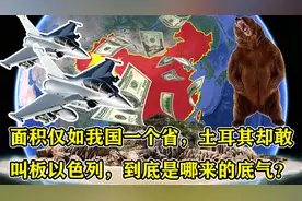 面积仅如我国一个省，土耳其却敢叫板以色列，到底是哪来的底气？视频封面