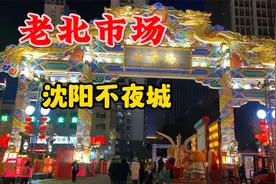 沈阳北市场庙会凤凰飞天无人机表演新加入安康龙太惊艳了国内首演视频封面