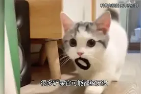 二郎神究竟是什么级别的神？