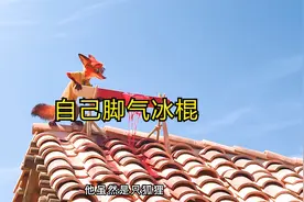 狐尼克自制脚气冰棍，居然是豚鼠的最爱视频封面