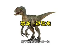 恐龙-迅猛龙视频封面