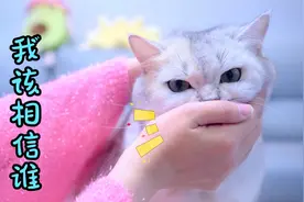 小猫咪疯了，竟然到处咬人？