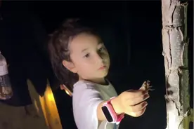 美国女儿第一次抓知了猴，小家伙看见这可真起劲，一晚上大丰收！