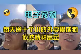 电子宠物甜甜圈(38)：每天送十个小时外卖累成狗，依然精神富足！视频封面