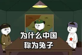 为什么中国称为兔子，还有那么多人反对！视频封面