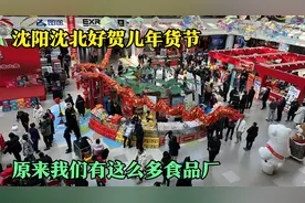 沈阳沈北好贺儿年货大集，这么多特产名品都是地产的，挺意外的