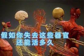假如你失去这些器官，你还能存活多久？没有了它你只能存活15秒视频封面
