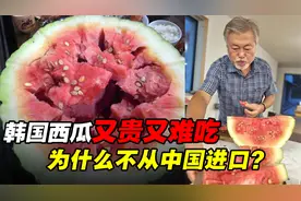 韩国西瓜百元一公斤，中国西瓜几毛一斤，能出口到日韩赚钱么？视频封面