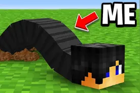 当在我的世界中变成了一条蠕虫