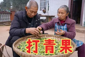 四川公婆打青果，把好的都留给儿媳妇，用来煨猪肚，老两口吃香了