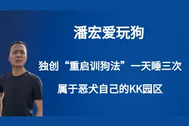 给狗“强行关机”，顿顿火龙果天天窝心脚，潘宏训犬惹怒爱狗人士