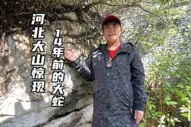 河北大山惊现14亿年的大蛇 要不是亲眼所见真的不敢相信 太逼真了