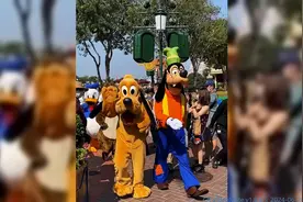 新知创作人为什么去迪士尼玩不能摸人偶的头部呢？