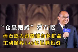 为跑路卷款300亿，却主动扔下148亿资产，潘石屹如此拼命到底为啥视频封面