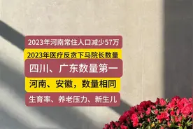 河南人口自然增长率、新生儿数量与医疗整顿视频封面