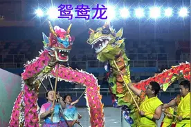 龙耀水立方-鸳鸯龙视频封面