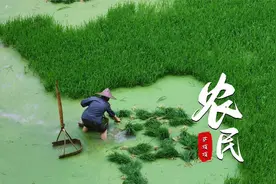 萨顶顶国语版《农民》，重新演绎Beyond经典，焕发了新的生命力视频封面