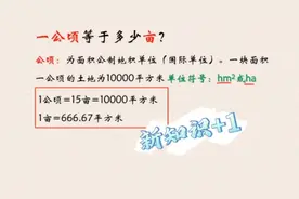 一公顷等于多少亩：地积单位换算！