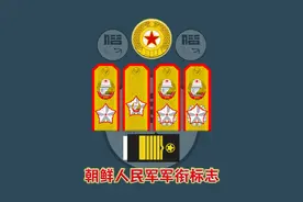 朝鲜人民军军衔标志(加朝鲜海军军衔袖章)