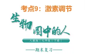 七年级下册生物总结——考点9激素调节