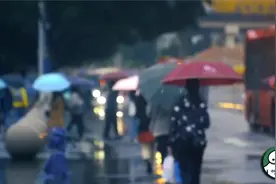 他读懂了皇极经世书，预言了清朝灭亡，号称清朝最厉害的预言家