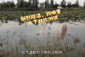 野钓对比实测：剧烈降温时，鲫鱼是否会从浅水障碍区游到深水区