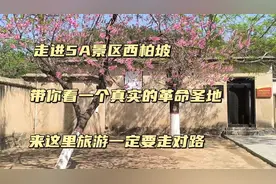 走进免费的5A级景区西柏坡，看真实革命圣地，来旅游一定要走对路视频封面