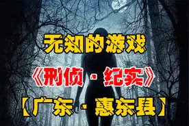 3个男孩在高速上投石砸车玩，造成丛飞妻子身亡！视频封面