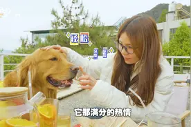 宠物狗也能当店长,金毛化身"阳光开朗大暖男",微笑"招待"每位顾客视频封面