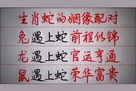 生肖蛇的姻缘配对（仅供娱乐）-副本(2)视频封面