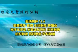 10日板块涨幅榜TOP10走势结构分析 11.4视频封面
