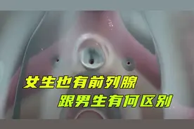 女生竟然天生就有前列腺，跟男生前列腺有什么区别？