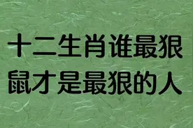 十二生肖谁最狠，鼠才是最狠的人!视频封面