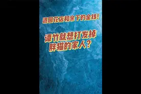退回花店和余下的金钱！谭竹就想打发掉胖猫的家人？视频封面