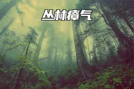 瘴气是什么？它是如何产生的？原始森林里真的存在有瘴气吗？视频封面
