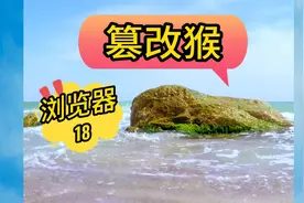 篡改猴如何使用